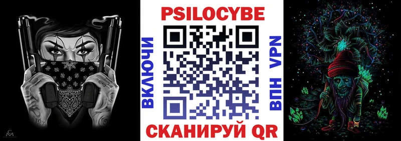 Псилоцибиновые грибы Psilocybe  Куртамыш 